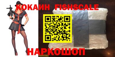 индика Надым