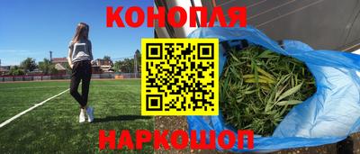 индика Надым