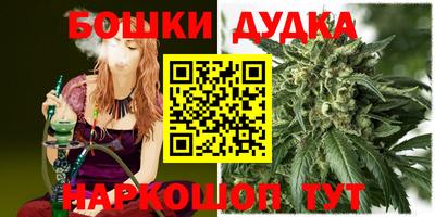 индика Надым