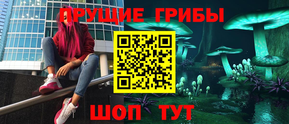 где купить   Вход с VPN  Кимры  Галлюциногенные грибы Cubensis 